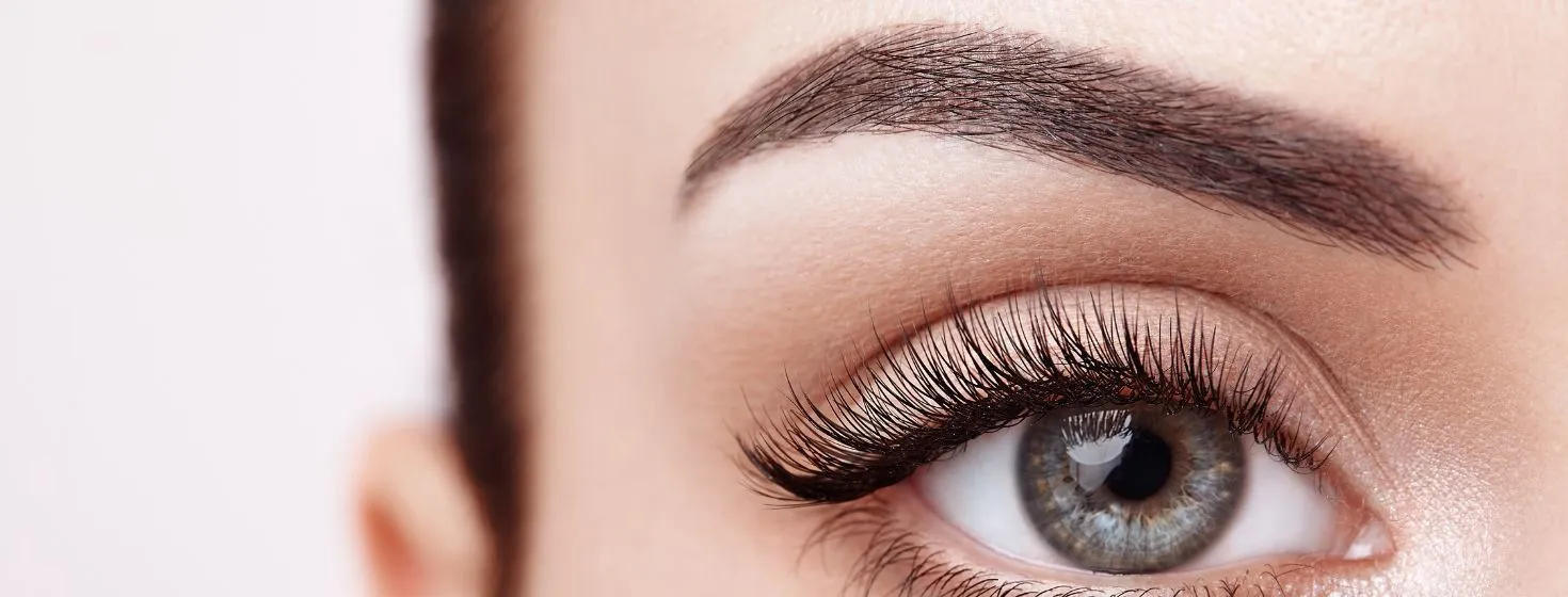 Lashes & Brows